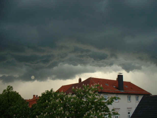 Gewitter mit B�enkragen und Regenwand