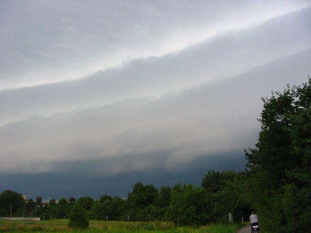 cb29.jpg (25191 Byte)