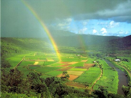 rabo3.jpg (47203 Byte)