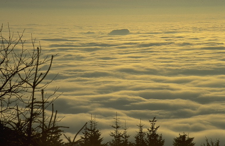 stneb02.jpg (107643 Byte)