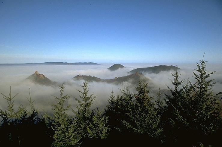 stneb03.jpg (82716 Byte)