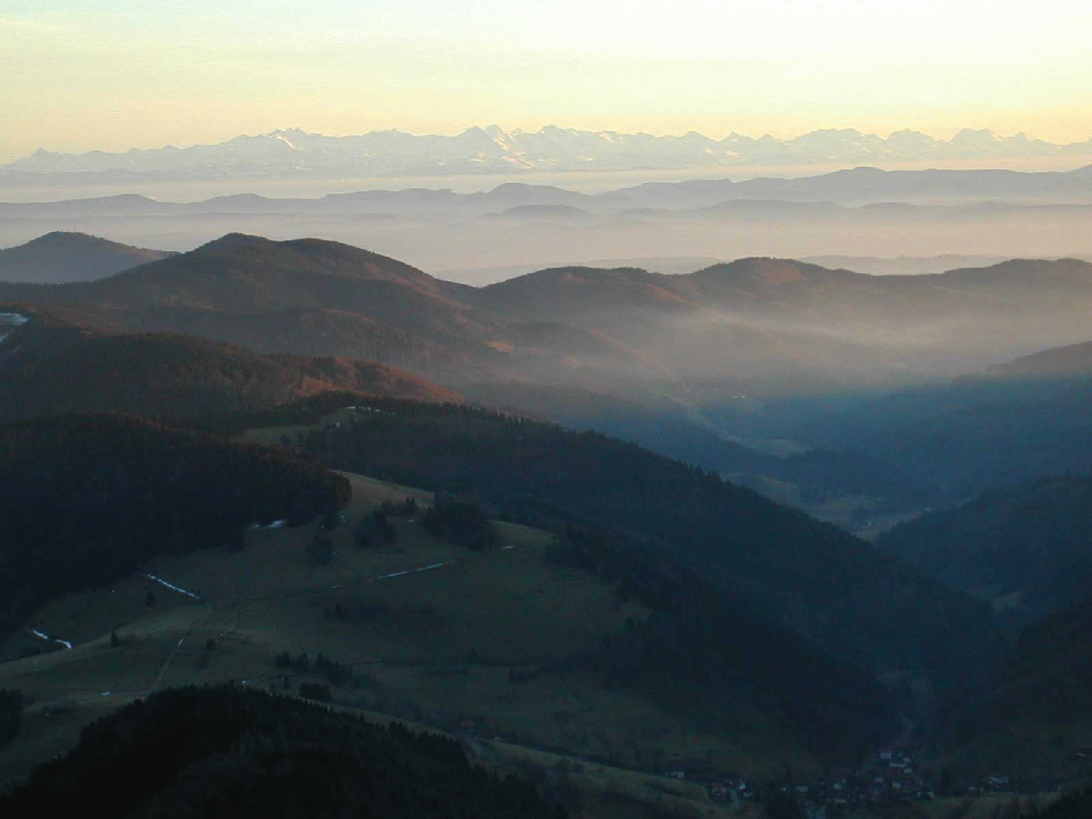 uli01.gif (470967 Byte)